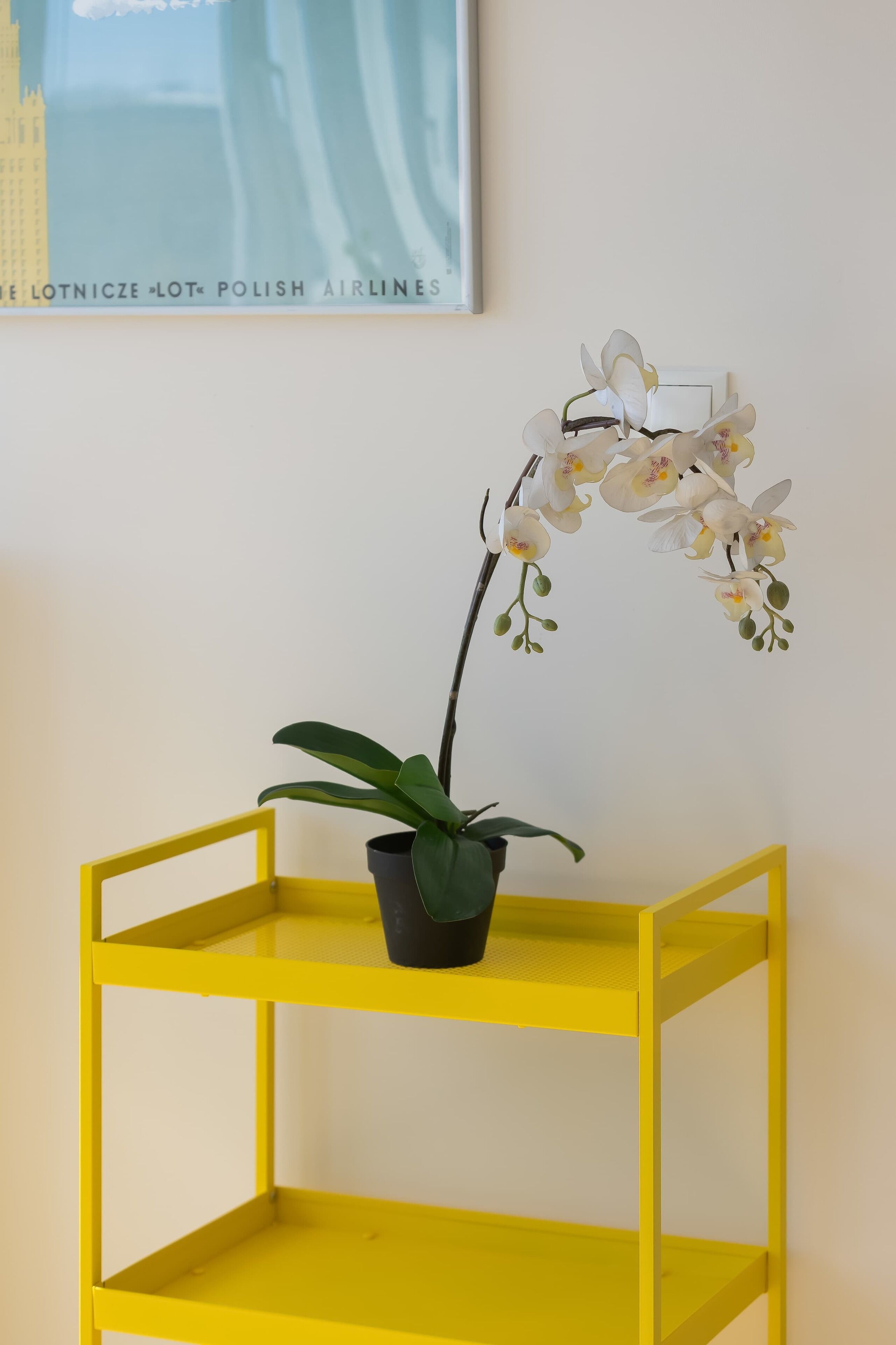 A yellow metal shelf with a potted orchid.