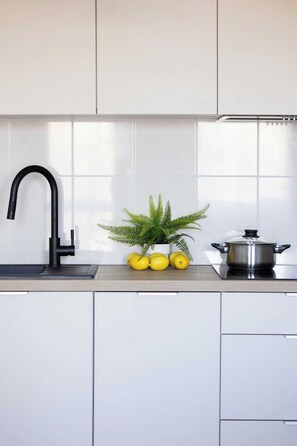 Fridge, microwave, stovetop, dishwasher