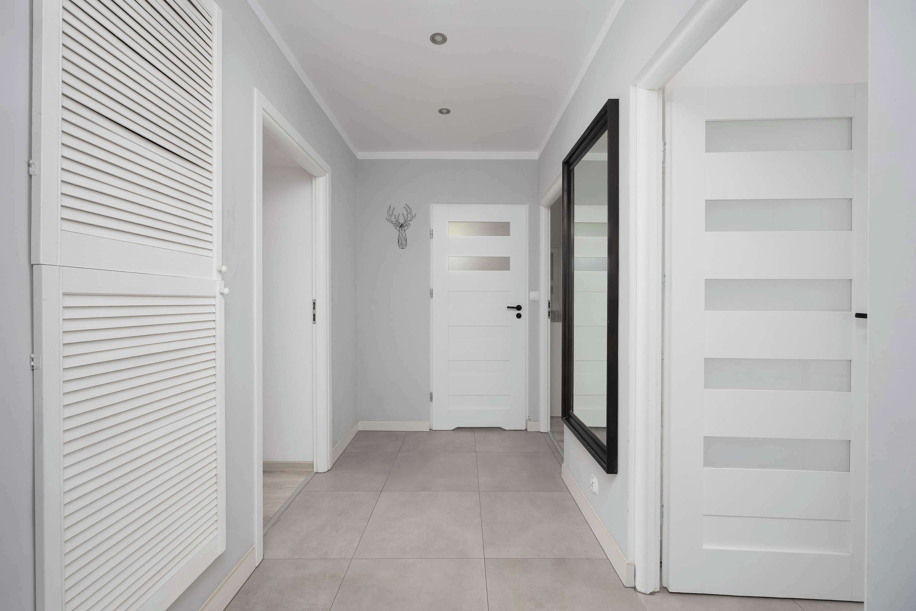 A hallway with white doors, a ceiling light, and a wall-mounted deer head decoration.