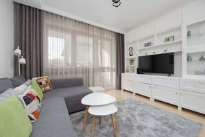 Fernseher, Arbeitsbereiche