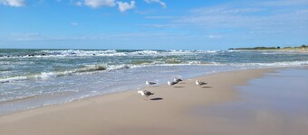 Kropla Bałtyku 6A | Summer House | Garden