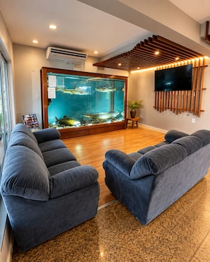 A modern living room with a large fish tank, grey sofas, wooden flooring, and a mounted TV. - Hotel Transcontinental (Ji Parana)