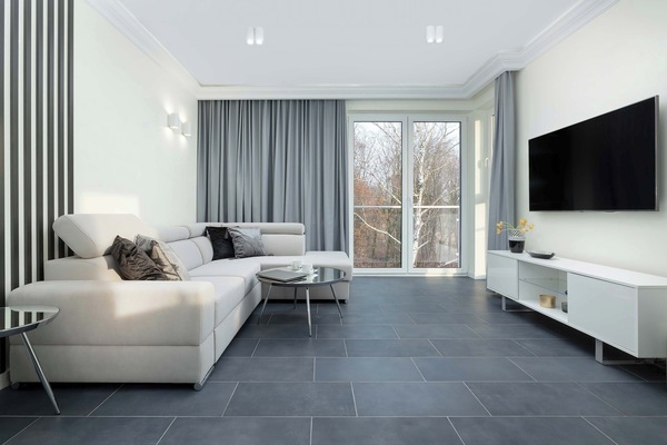 Spacious living room with full equipment.