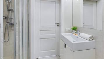 Shower, hair dryer, towels