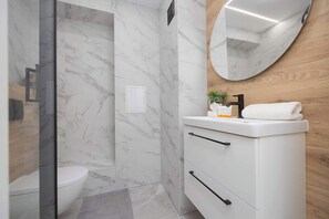 Shower, hair dryer, towels