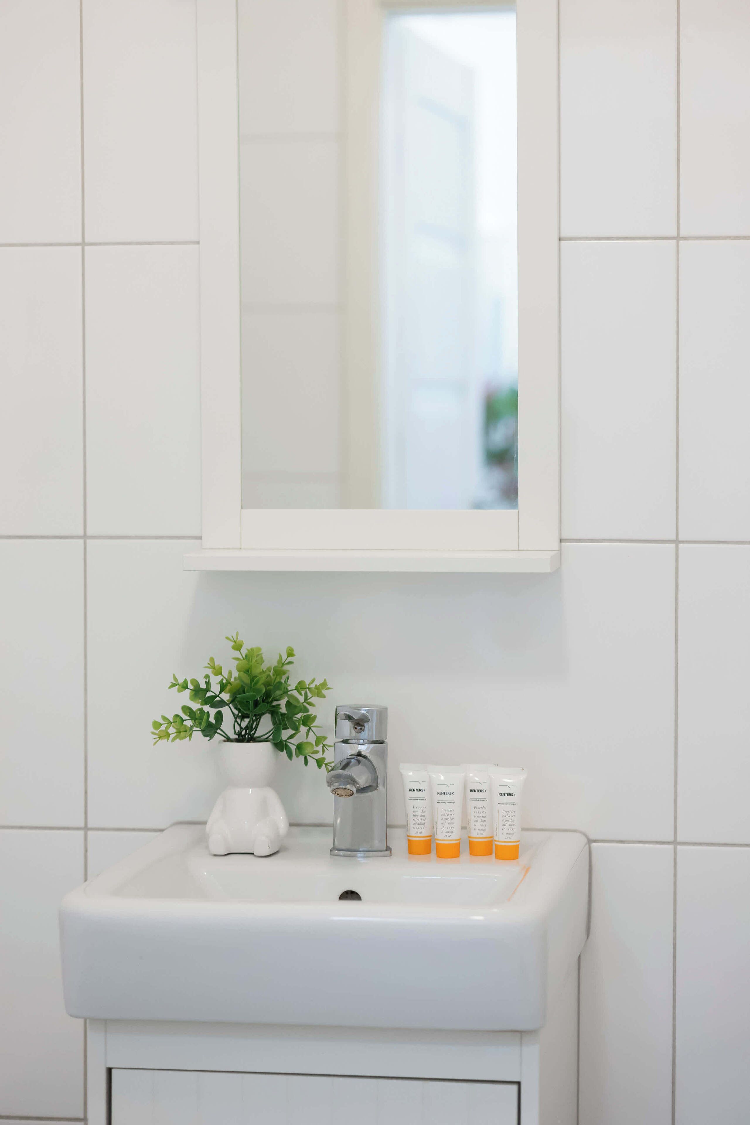A bathroom sink with a mirror, a small potted plant, and three toiletry bottles.