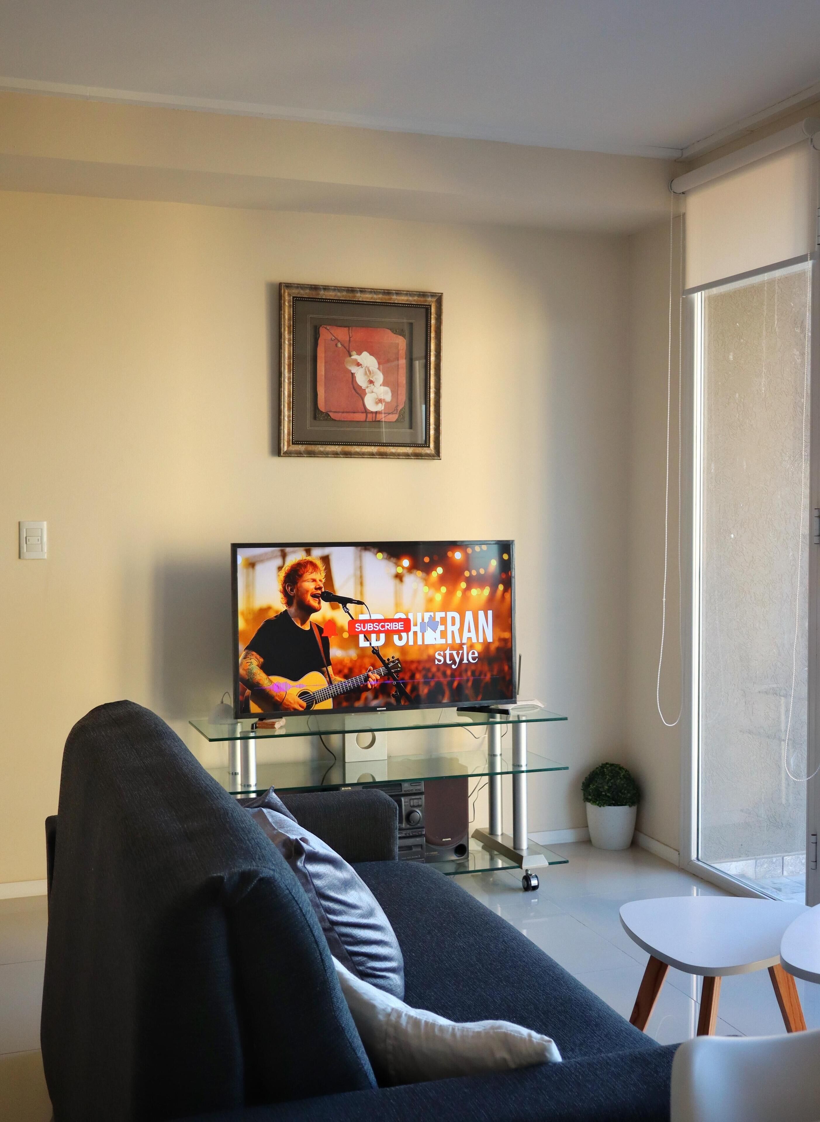 Una sala de estar con una televisión mostrando un concierto musical, un cuadro en la pared, una mesa de centro de vidrio y un sofá con cojines.