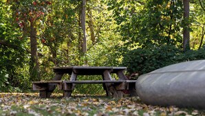 A picnic table in a wooded area with fallen leaves on the ground. - Hostel SoHa (South Haven)