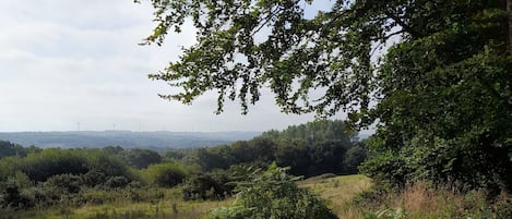 Speisen im Freien