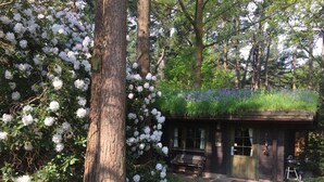 Un rifugio rustico con facciata in legno, circondato da fitta vegetazione e fiori bianchi.
