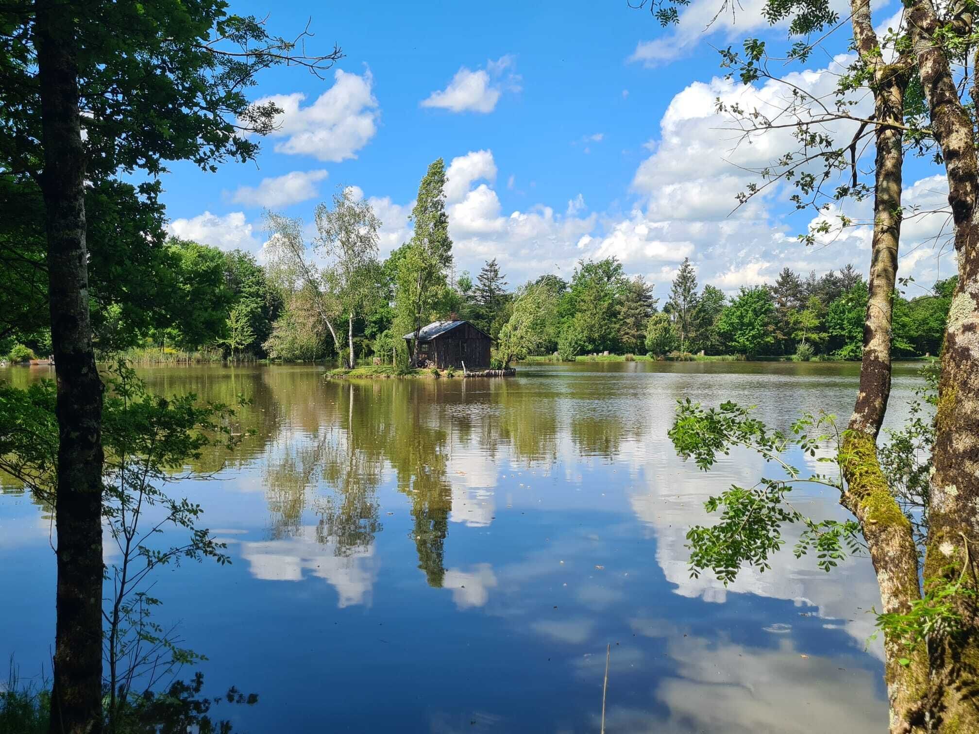 A serene lake with a wooden cabin surrounded by trees.