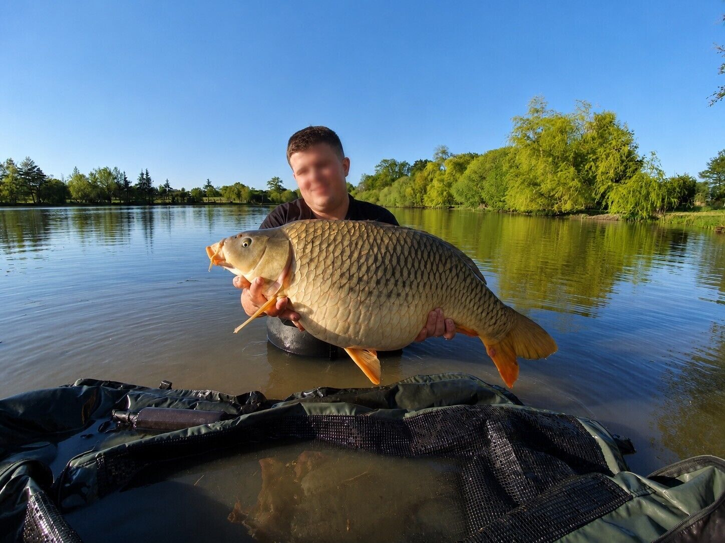 A person holding a large fish by a calm lake with trees in the background.