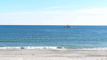 Plage à proximité