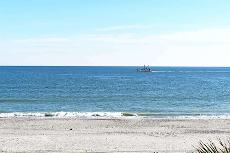 ビーチの近く. Newly Added, Barefoot Yacht Club, Saltwater Pools!