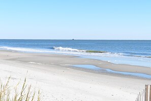 On the beach