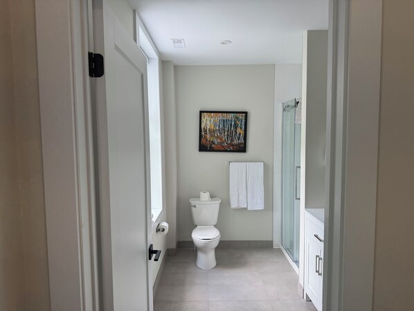 Toallas y papel de baño 