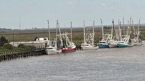 A marina with several boats docked. - Karen’s Cove
Charming 2-bedroom house in terrific Darien with WiFi, AC (Darien)
