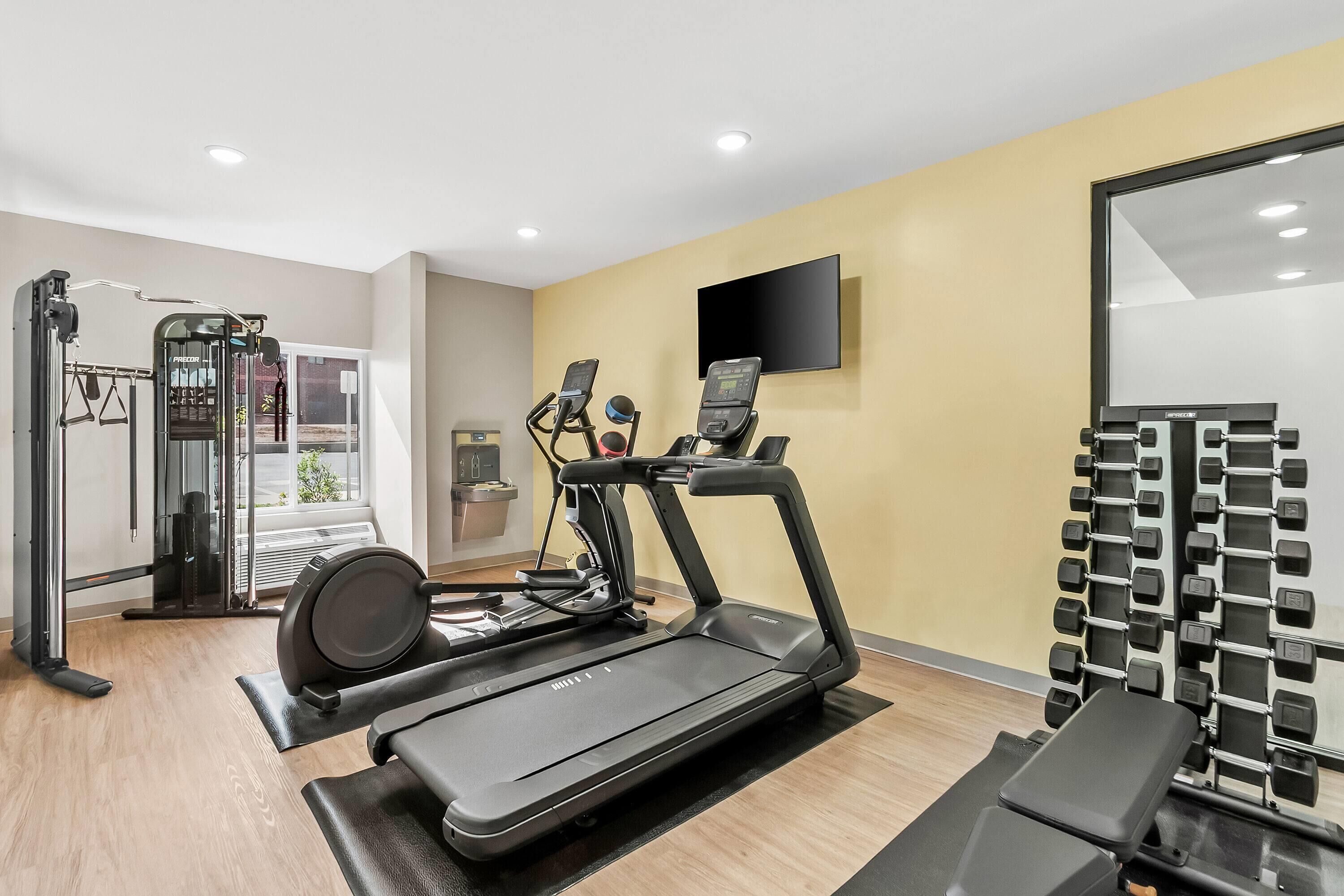 Un gimnasio con cintas de correr, una banca de pesas y una estructura para sentadillas.
