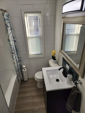 Hair dryer, towels, soap, toilet paper - Quiet and Clean Home near Downtown Homewood with Private Backyard! (Homewood)