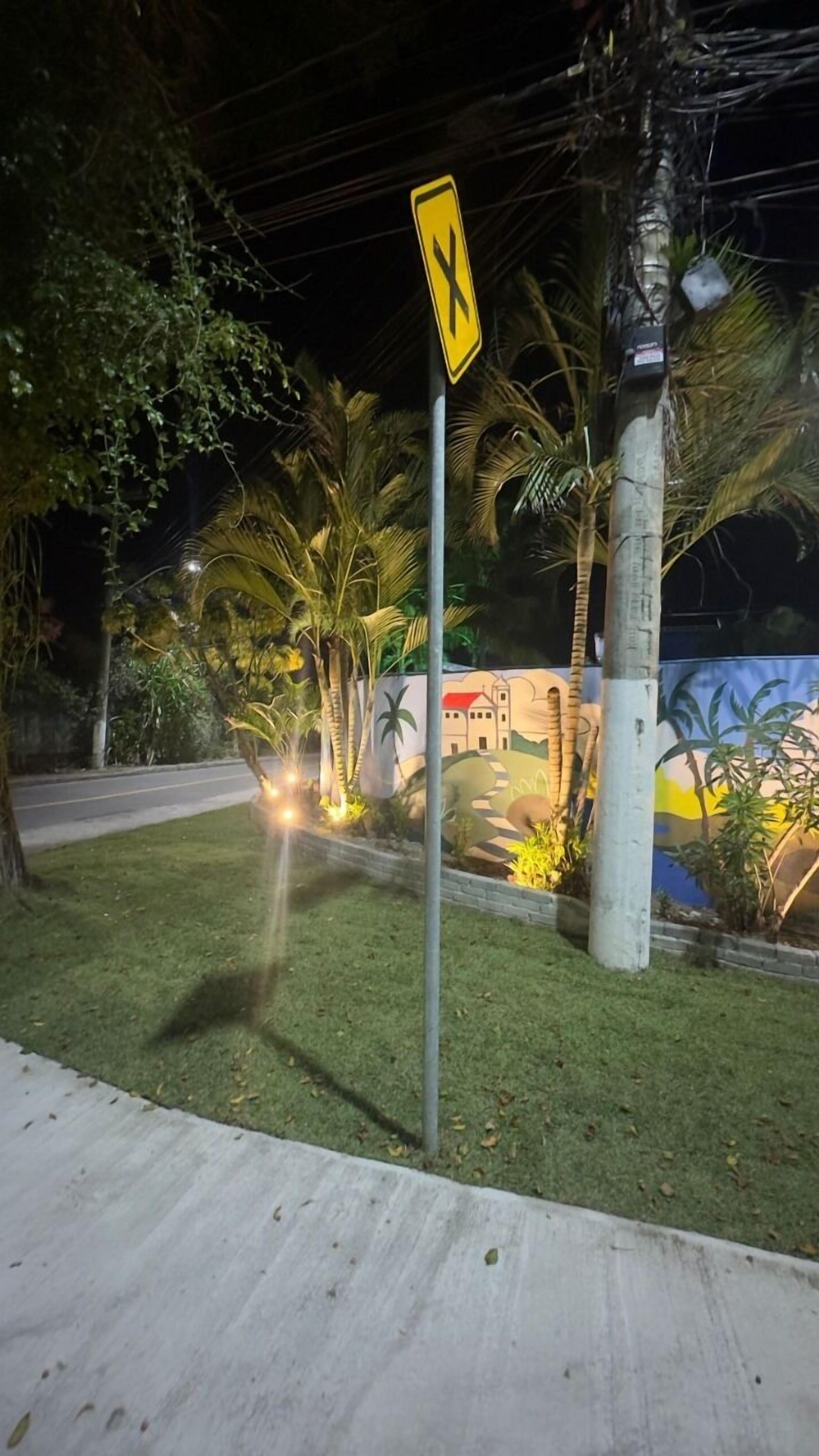 A pedestrian crossing sign at night with palm trees and a mural in the background.