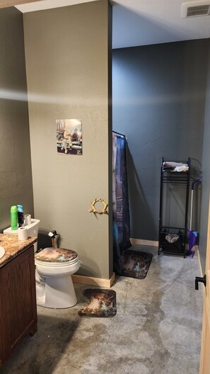 Shower, towels, toilet paper - Charming 2-bedroom lodge with WiFi, AC, quietly tucked away in the woods. (Okawville)