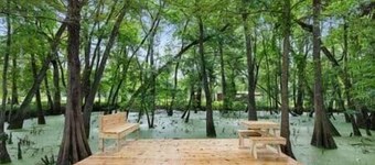 Boscoyo Cha-teau Cabin