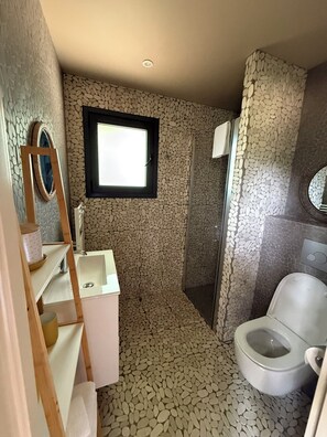 Shower, towels, soap, toilet paper