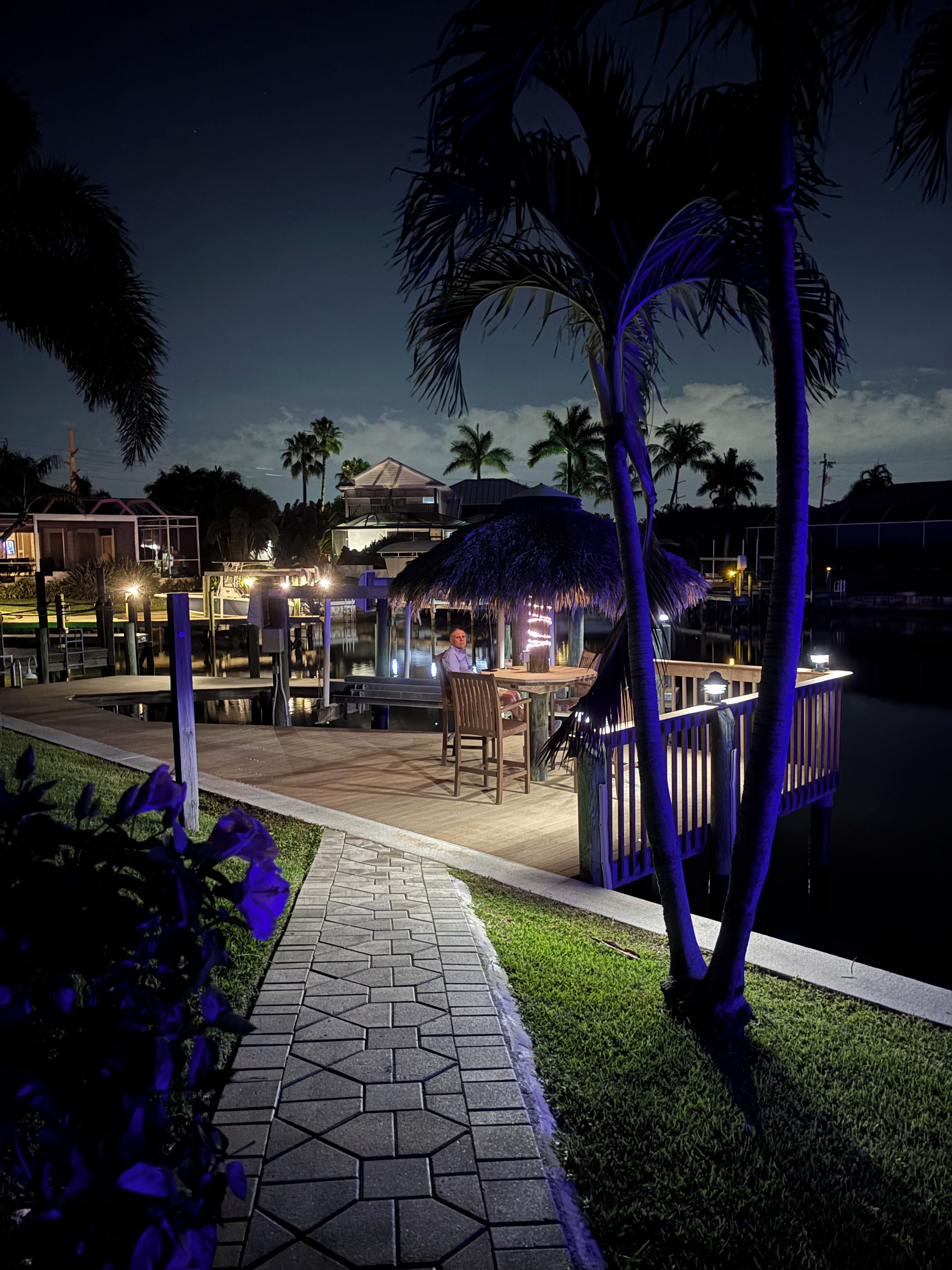 An outdoor dining area with a thatched roof, palm trees, and a view of the water.