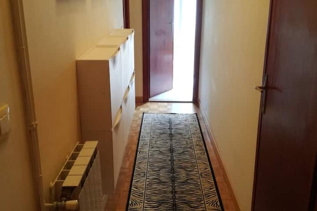 A narrow hallway with a zebra-patterned rug, a radiator, and a wooden door at the end.