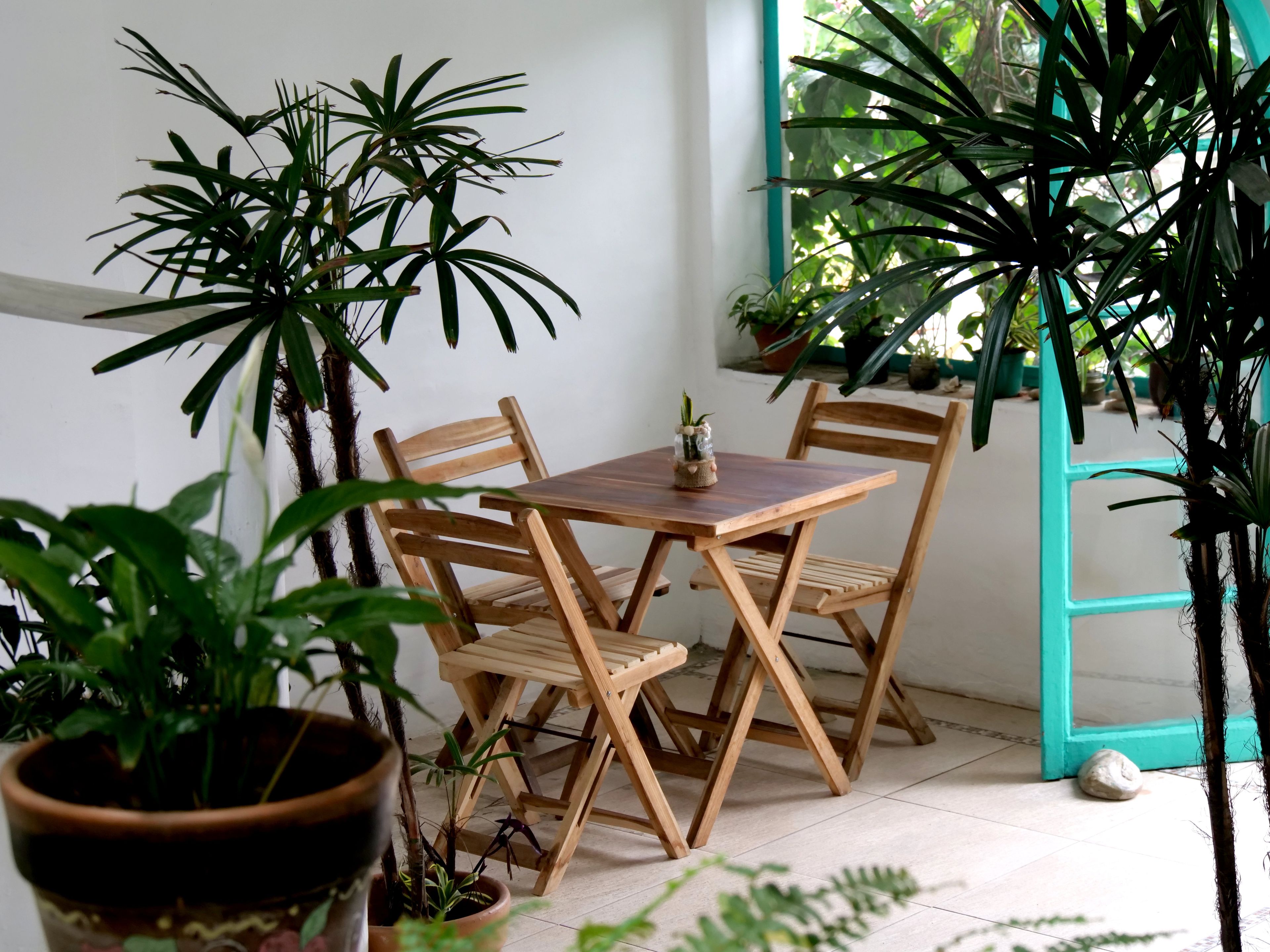 Una mesa y sillas de madera en una habitación con plantas en macetas y un ventanal.