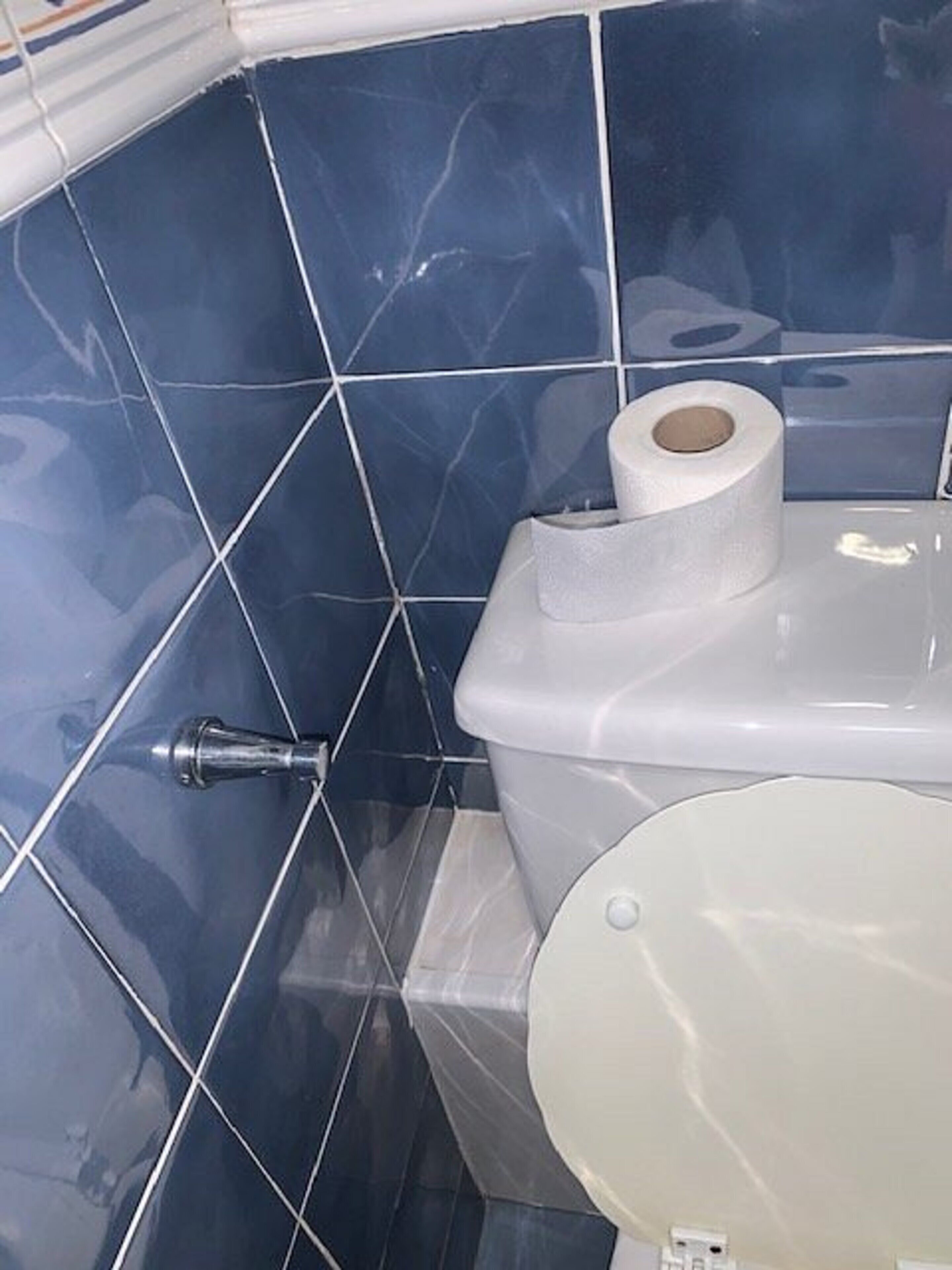 A bathroom with a toilet, a roll of toilet paper, and a wall with blue tiles.