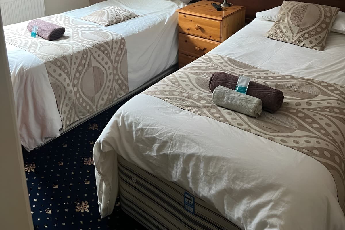 Standard Twin Room | Desk, soundproofing, iron/ironing board, WiFi (free)