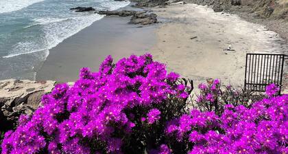 Ocean Front 2-bedroom Villa in Calafia Paradise Resort, 2 Pools, Jacuzzi, gym.