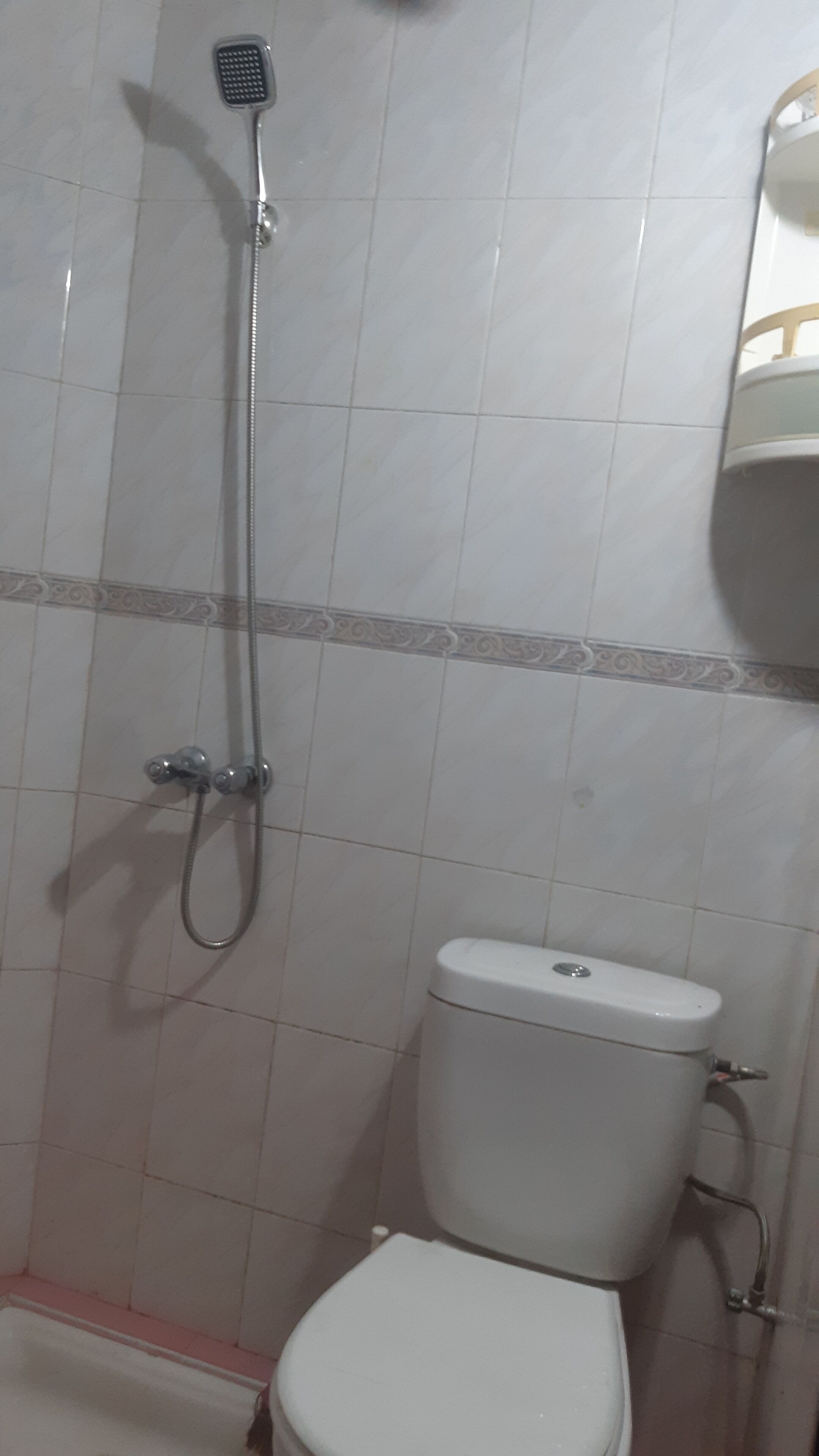 A bathroom with a toilet, a shower, and a sink.