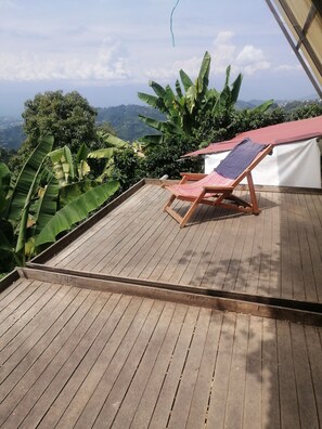 Property grounds - Montaña Cafetera Folklore and Nature Manizales Colombia (Manizales)