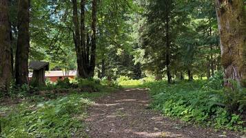 Enceinte de lâhĂ©bergement