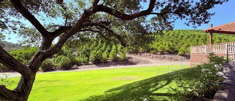 Property grounds
