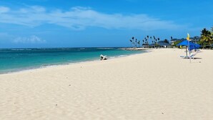 Een strand met heldere luchten, een zandstrand en enkele palmbomen.