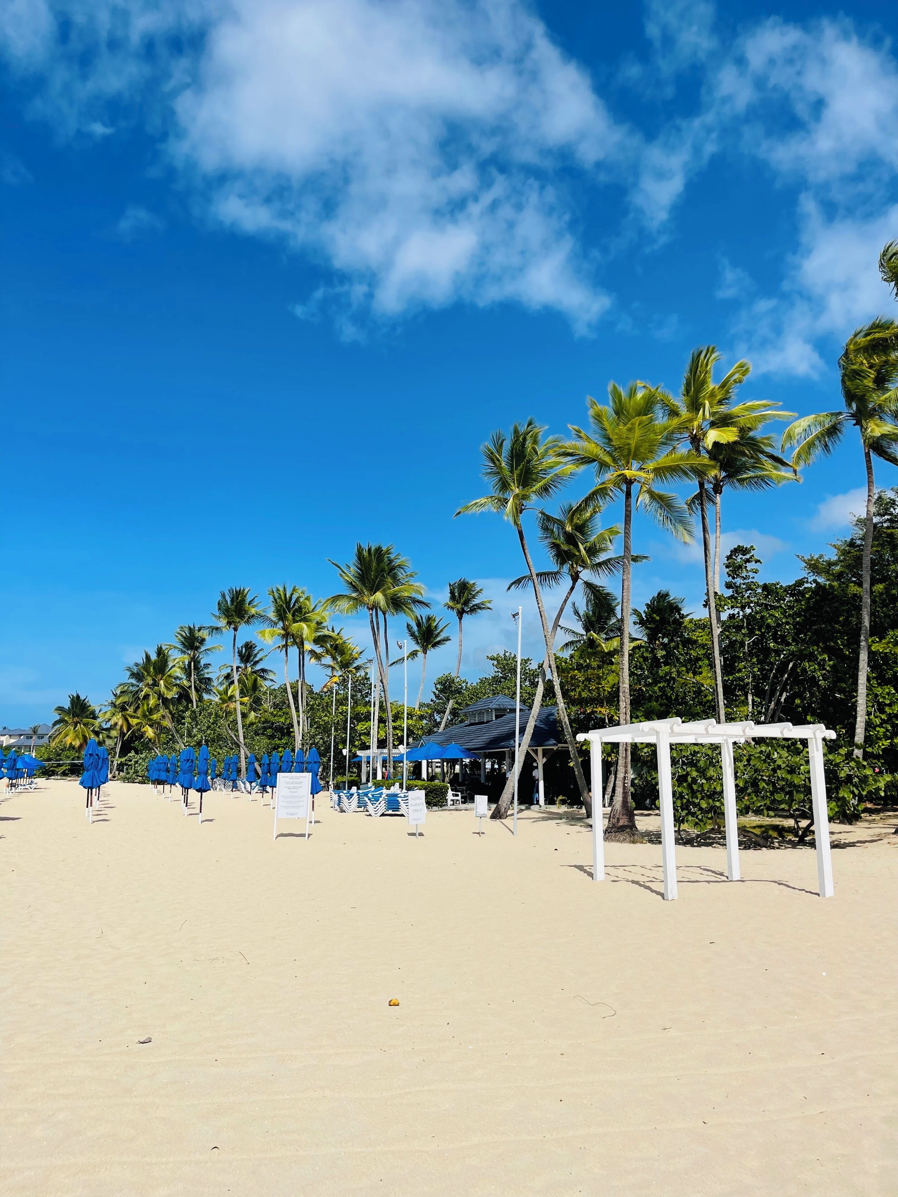 A beach with palm trees, blue umbrellas, and a white pergola.