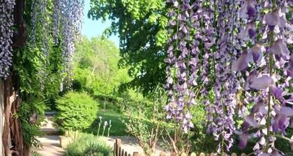 LA MAISON DES SŒURS - SAINT JEAN D'ARVEY