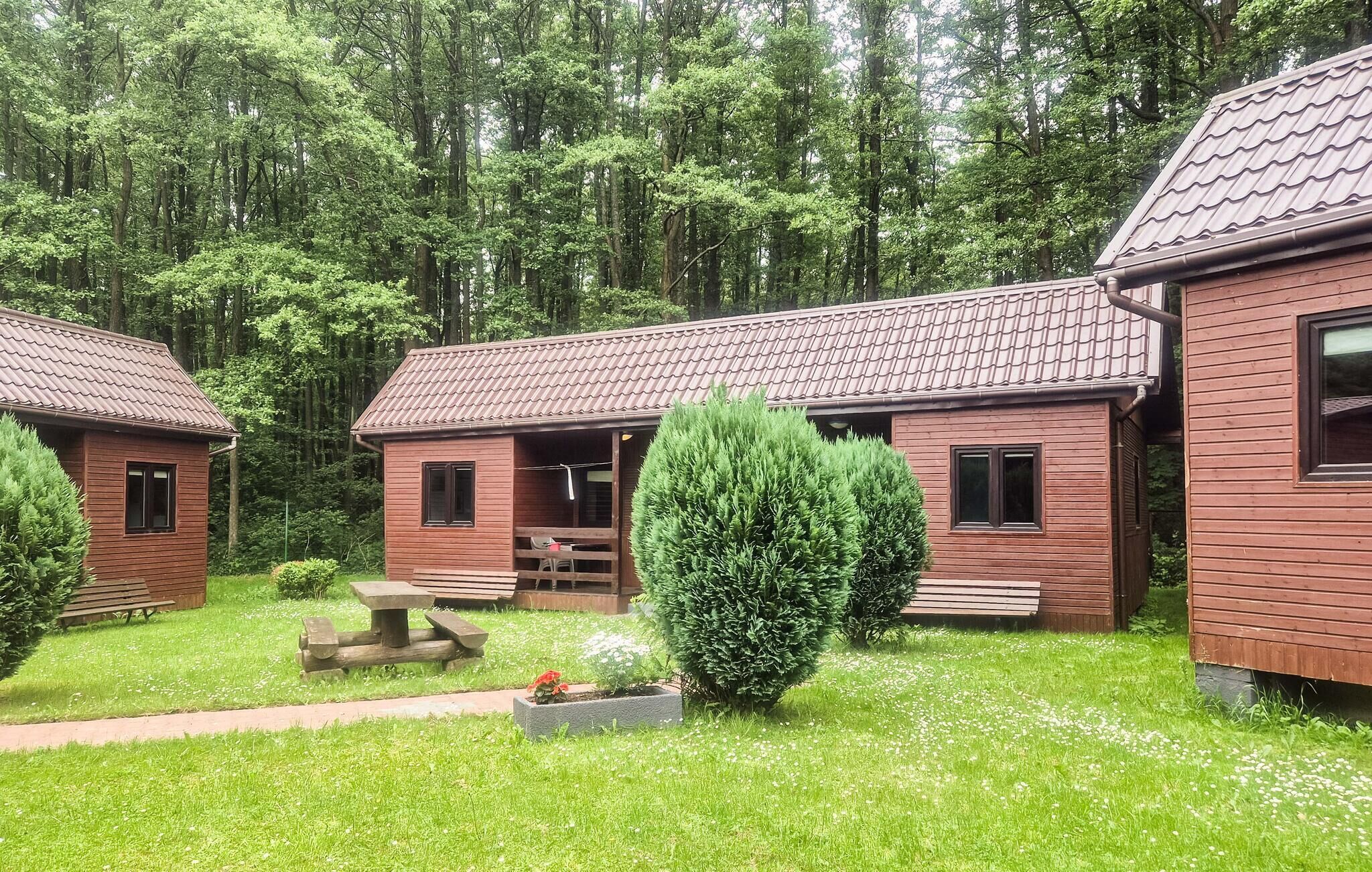 Een rij houten hutten met pannendaken, omgeven door een bos. Elke hut heeft een veranda en een kleine tuin.
