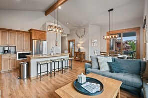 Smart TV, fireplace, video library