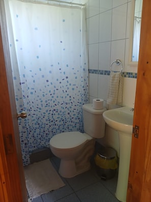 Hair dryer, towels, soap, toilet paper
