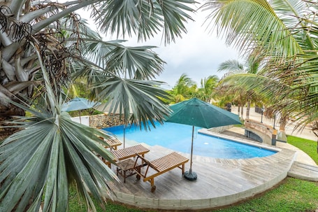 Outdoor pool, pool umbrellas, sun loungers