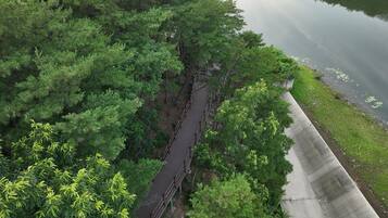 A bridge over a river surrounded by dense greenery.