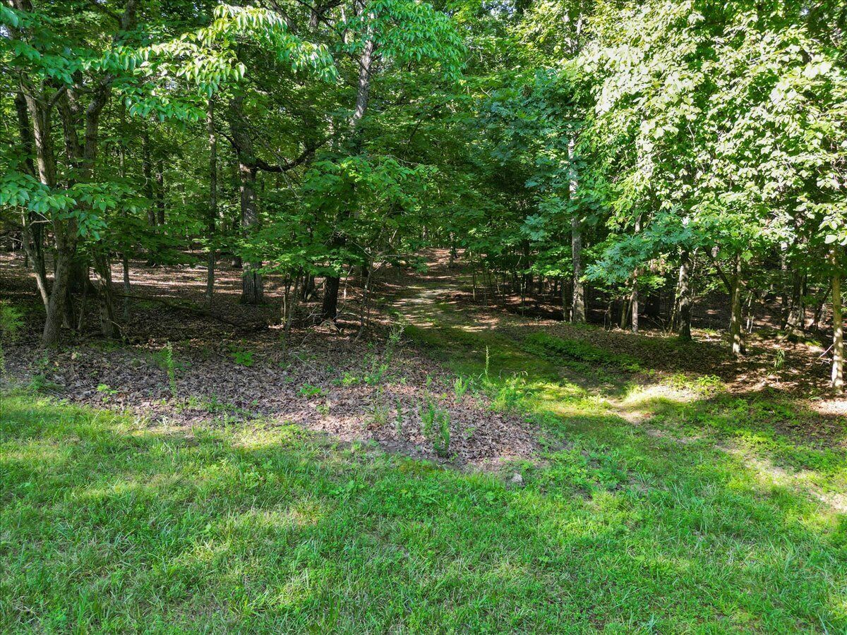 A forested area with a dirt path.