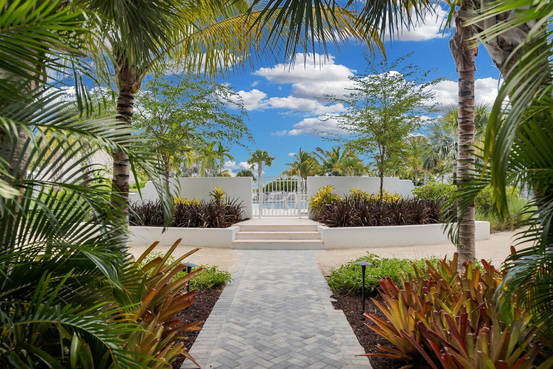 A pathway leading to a pool area surrounded by palm trees and plants.