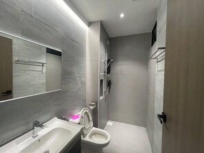 Regadera, secadora de cabello, bidet, toallas 