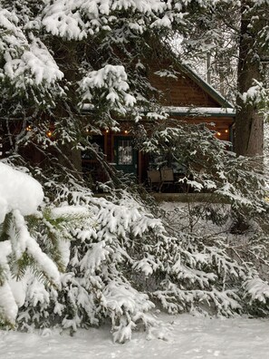Exterior - Timber Haven - Serene year-round log home getaway with gas fireplace, HVAC, WiFi (Cohocton)