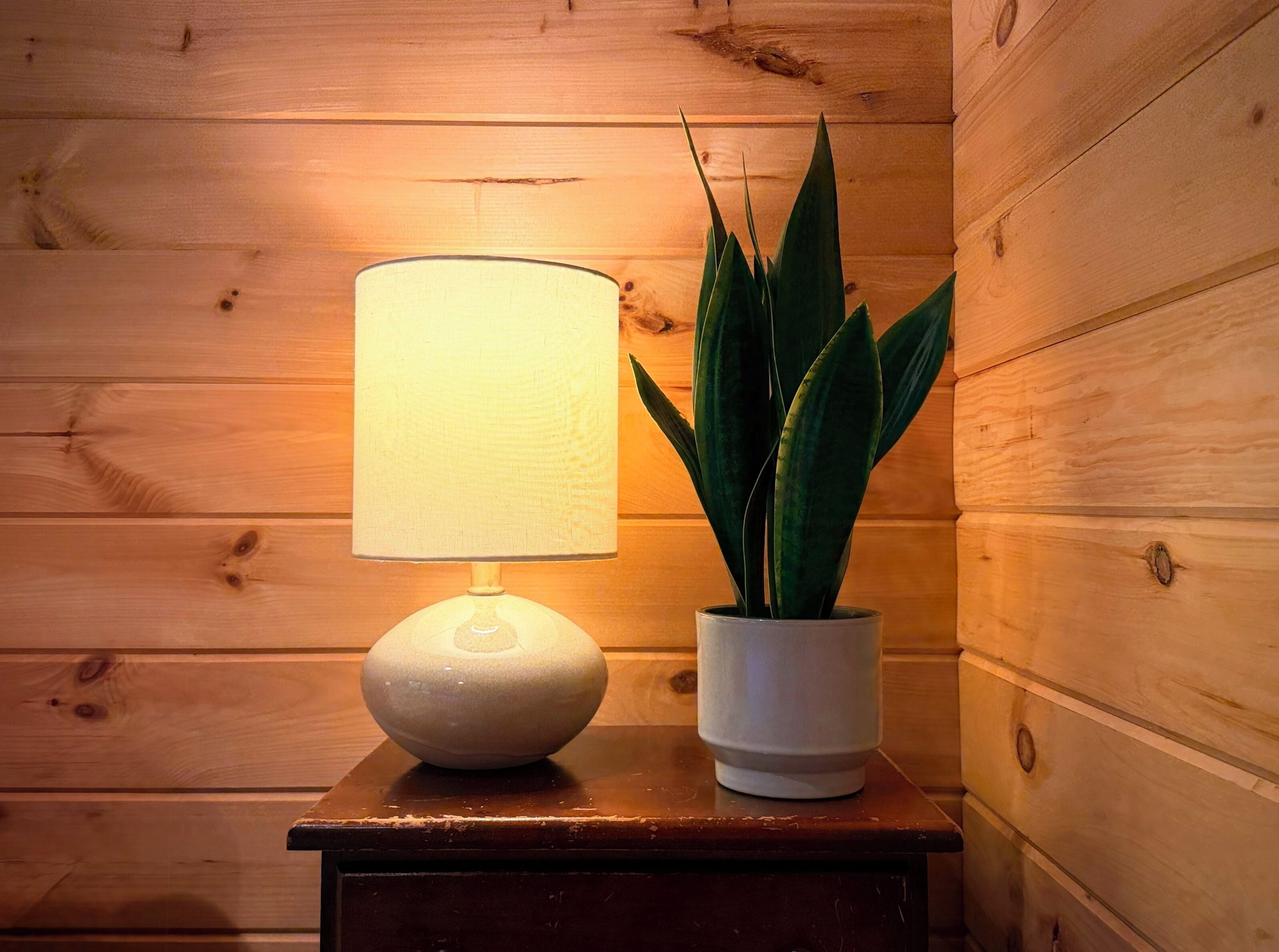 Een houten nachtkastje met een lamp en een potplant.